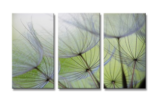 Images sur toile 160 cm - sur, x