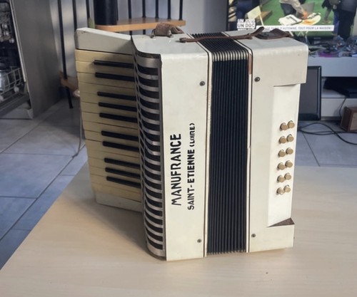 Magnifique accordeon vintage