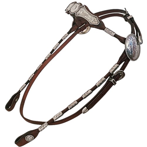 Bridon spectacle cuir - spectacle, en