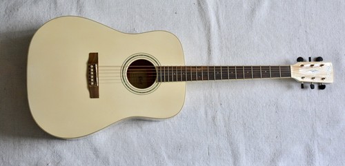 Cort earth 100 guitare - 100,