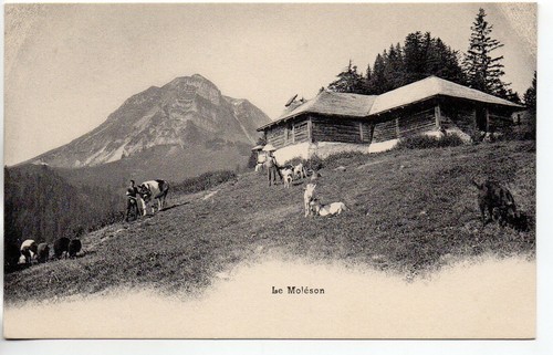 Suisse switzerland chalets - switzerland,