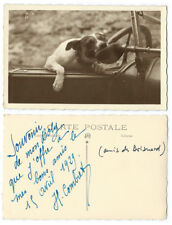 Portrait photo card of Chien biting the horn of a car - 1929 - dog