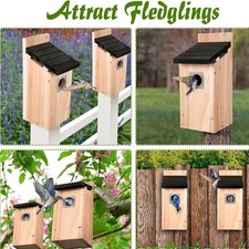 Nichoir à oiseaux en forme de