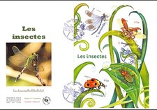 FDC GF JF - Bloc les insectes