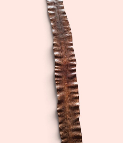 Peau serpent python - serpent, 320