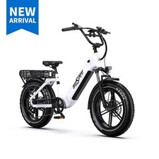 Vélo Électrique Adulte