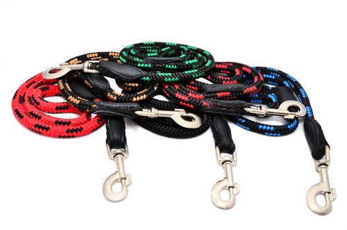 Laisse pour chien courte - laisse,