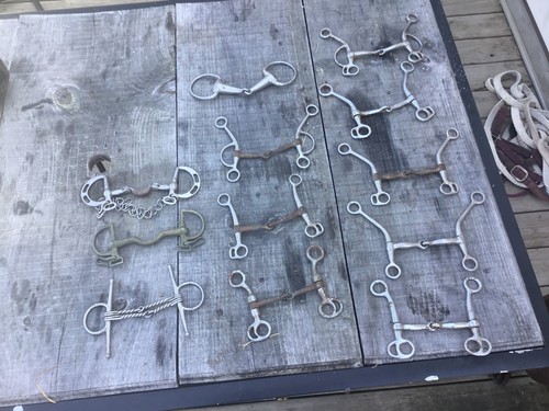 Horse bits - horse,