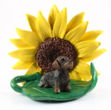 Figurine De Teckel À Poil Dur Tournesol