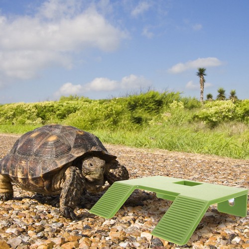 Plate forme tortue - plate-forme,