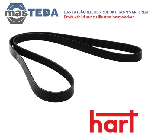 368 944 belt ribbed - 368, v-ribbed