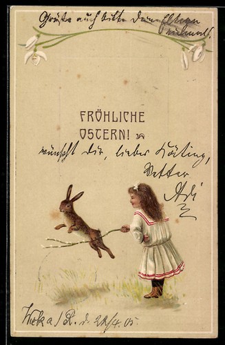 Lapin pâques saute - lapin,