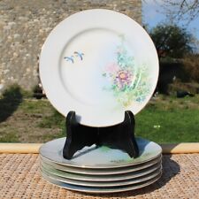 Set de 6 assiettes à dessert