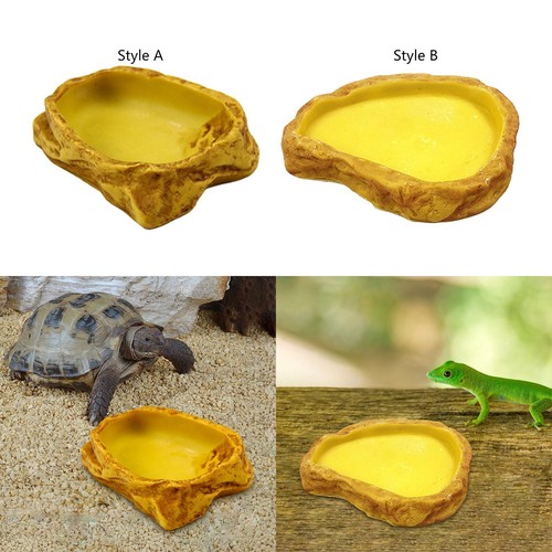 Plat eau pour reptiles - d'eau,