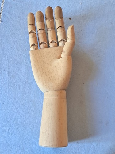 Main droite articulée - droite, d'