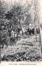 45* CHEVANNES bois des posses RL58,1218