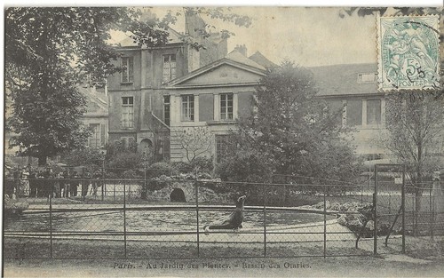 Cpa 75005 paris jardin - cpa, des