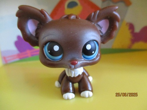 Petshop chien papillon 219 - petshop,
