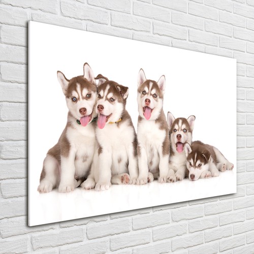 Tulup image sur verre - tulup,