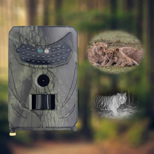 Caméra chasse 12mp hd - 12mp,