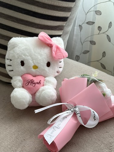 Peluche hello kitty - hello,