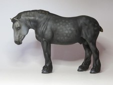 CM Breyer Theo to Dapple Grey Draft Stallion x Jordan Peveto