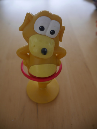 Chien hula hoop - chien,