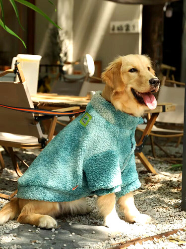 Veste manteau pour chien - manteau,