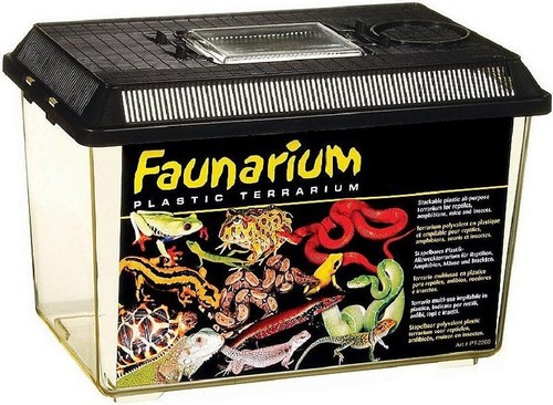 Terrarium reptile amphibien - terrarium,