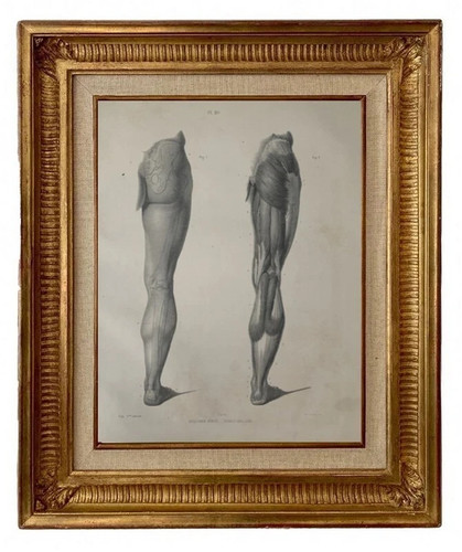 GRAVURE LITHOGRAPHIE XIX°