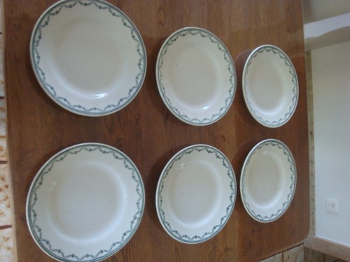 Assiettes plates dinoise - 6,