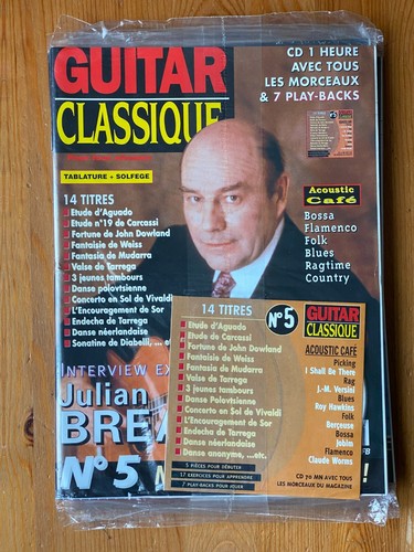 Guitar classique - guitar,