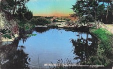 49 ANGERS ETANG SAINT NICOLAS