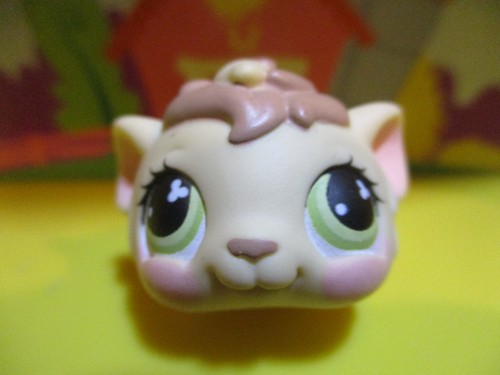 Petshop cochon inde - petshop, #494