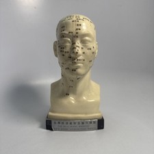Vintage Head Bust Showing 4 Kinds Acupuncture Points Anatomical Model Set Rare