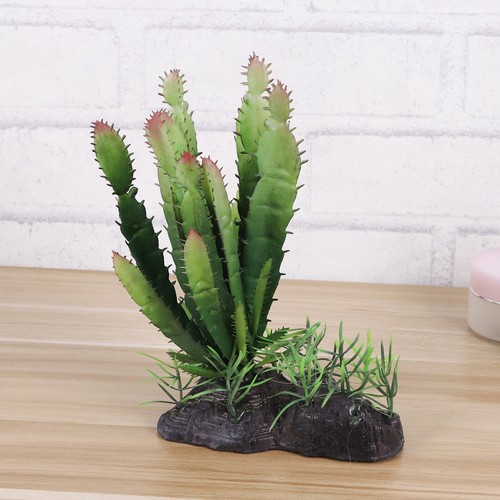 Terrarium pour tortue - pour,