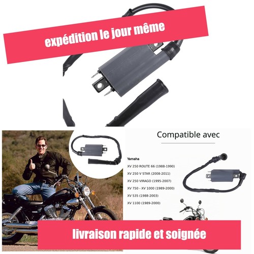 Bobine allumage twowinds - bobine, d'allumage