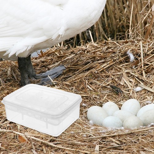 Couveuse oeufs boîte - couveuse,