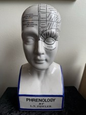 REPLICA PORCELAIN PHRENOLOGY HEAD