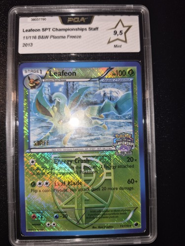 2013 pokemon w - pokemon,