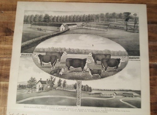 Ancien acier gravure - gravure,