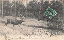 77 FONTAINEBLEAU RUNNING HUNT 92865