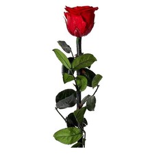 Fleur Artificielle "Rose sur