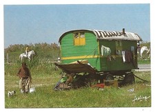 CPM BOUCHES DU RHONE CAMARGUE