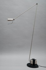 Lumina Daphine Terra