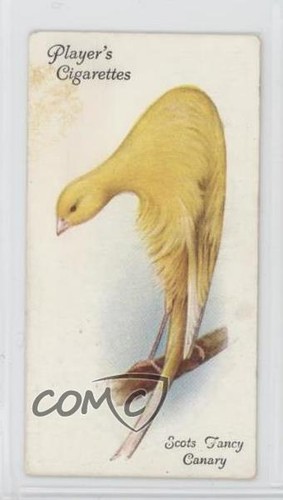 1933 player aviary and - 1933,