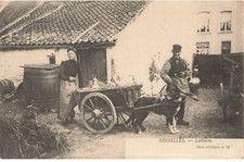 BELGIQUE #FG58929 BRUXELLES LA LAITIERE VOITURE ATTELAGE DE CHIEN