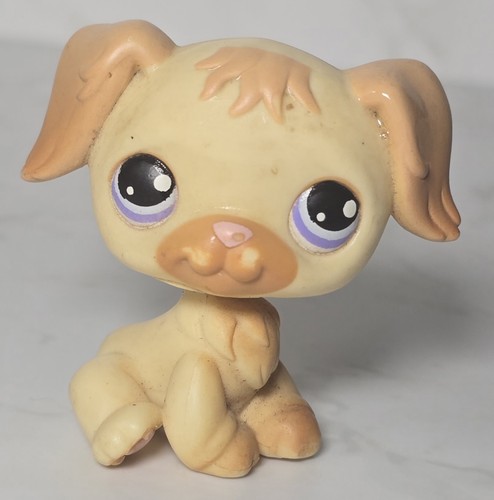 Littlest petshop lps - ,