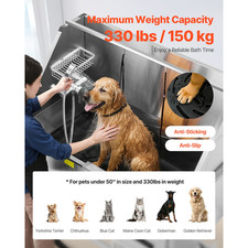 Baignoire De Chien Animaux