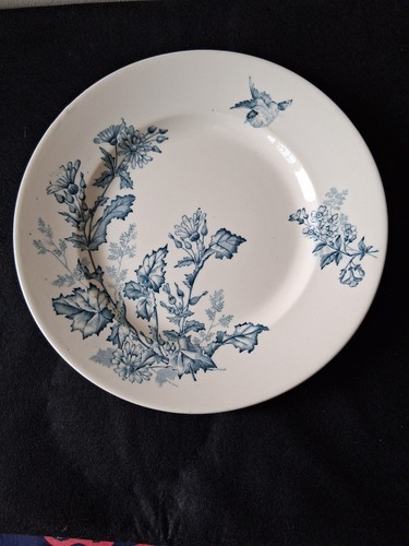 Ancien plat rond - plat,